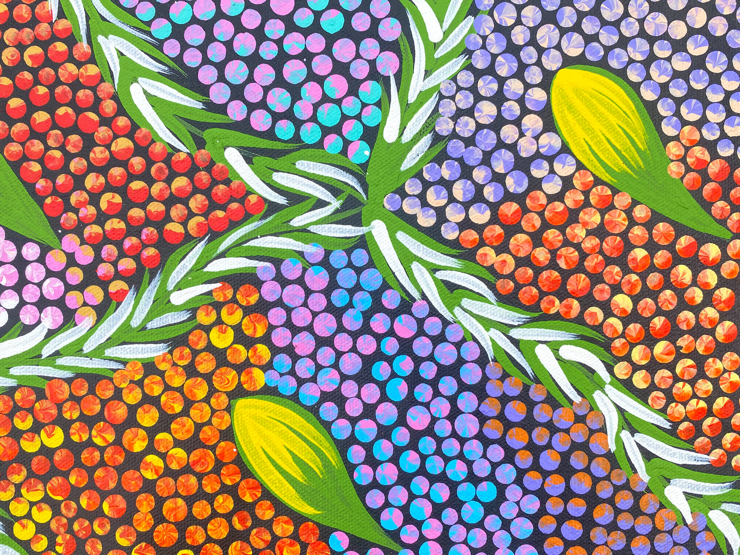 MARY NAPANGARDI JONES - Bush Banana