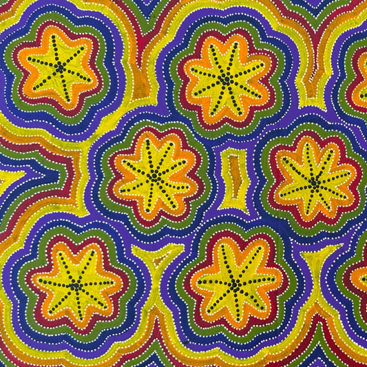 Marie Ryder Napangardi Santa Teresa Ltyentye Apurte Eastern Arrernte Eastern Aboriginal Art Indigenous Art Aboriginal Art Australian Art Bush Flowers Dot Art Painting Contemporary