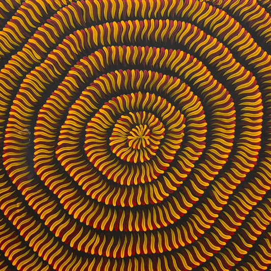 MARY RUMBLE PITJARA - Bush Medicine Leaves