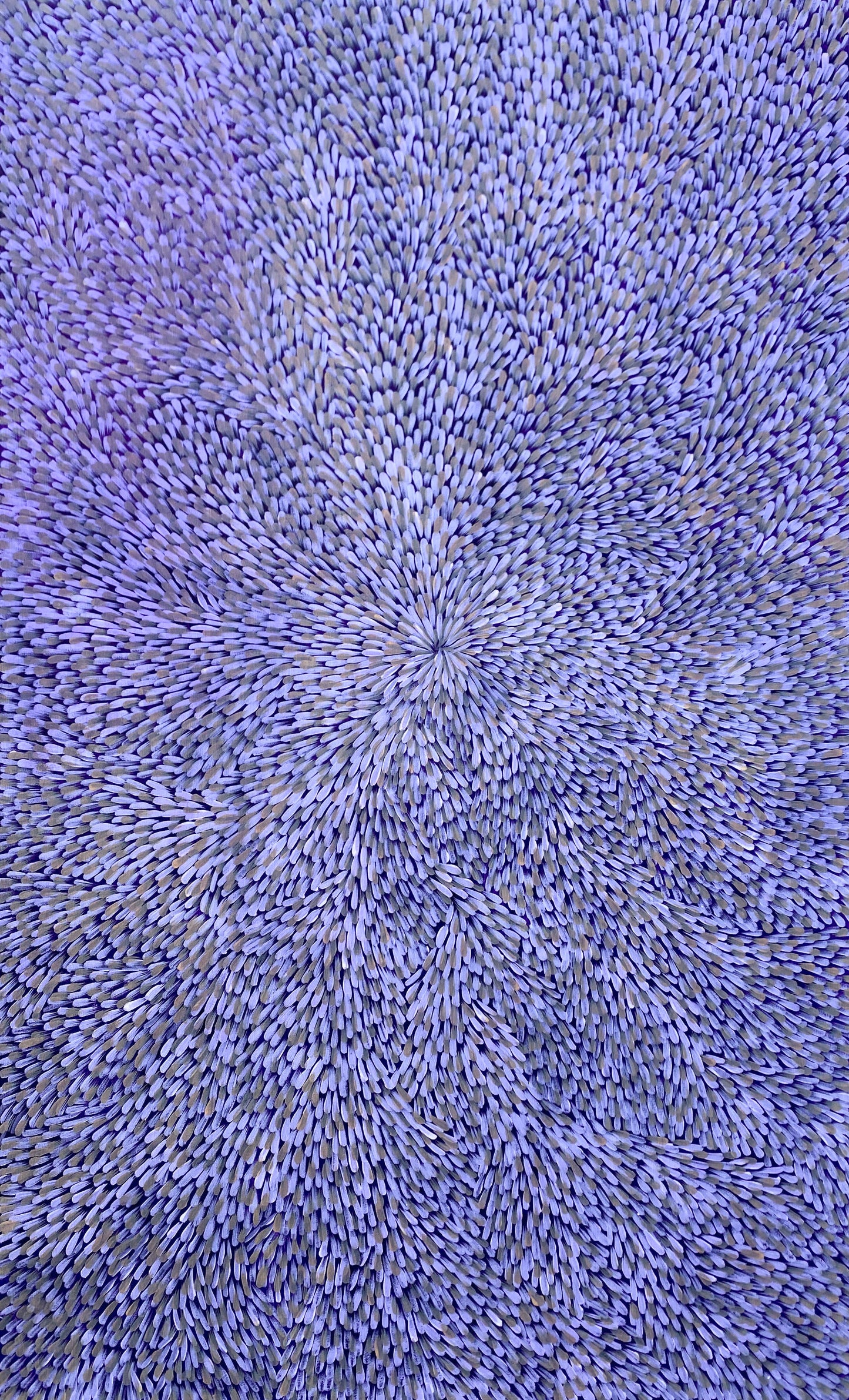 Margaret Scobie , Utopia, Indigenous art, Aboriginal Art, Australian Art, Bush Leaf Medicine, Altyerre Aboriginal Art, art, darwin gallery, indigenous painting for sale, aboriginal art for sale, Australian art for sale,