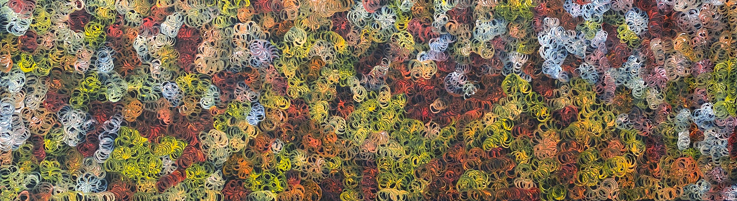 Margaret Scobie Mountain Devil Lizard Contemporary Art Indigenous Art Aboriginal Art Australian Art Mountain Devil Lizard Dreaming Art Story