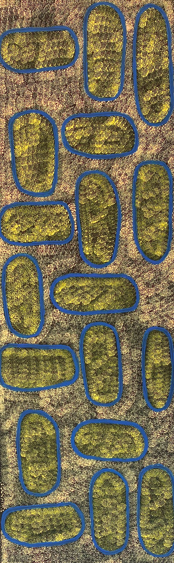 Ngoia Pollard Napaltjarri + indigenous art + aboriginal art + australian art + art for sale + painting for sale + artwork for sale + dot art + dot artwork + dot painting + swamps + aerial depiction + darwin based gallery + gallery + family owned gallery + painting for sale + unique art + innovative artist + water is life + art collection + art collector + interior design ideas + decor +