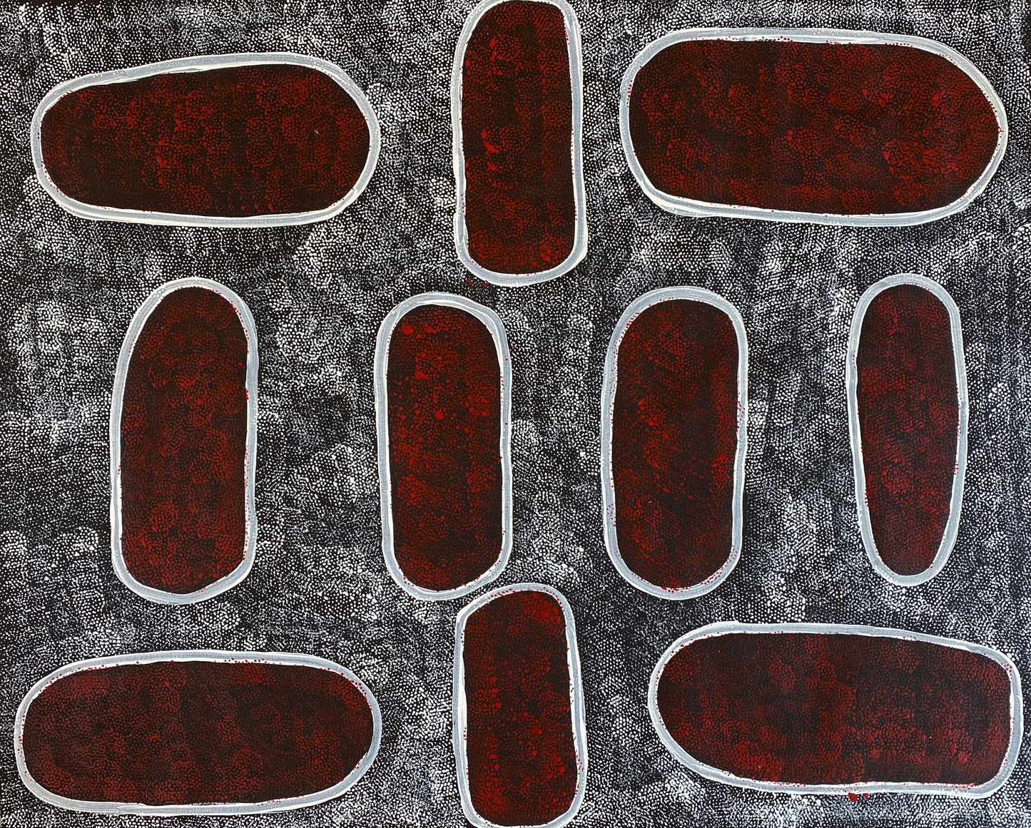 NGOIA POLLARD NAPALTJARRI - Swamps at Nyrripi