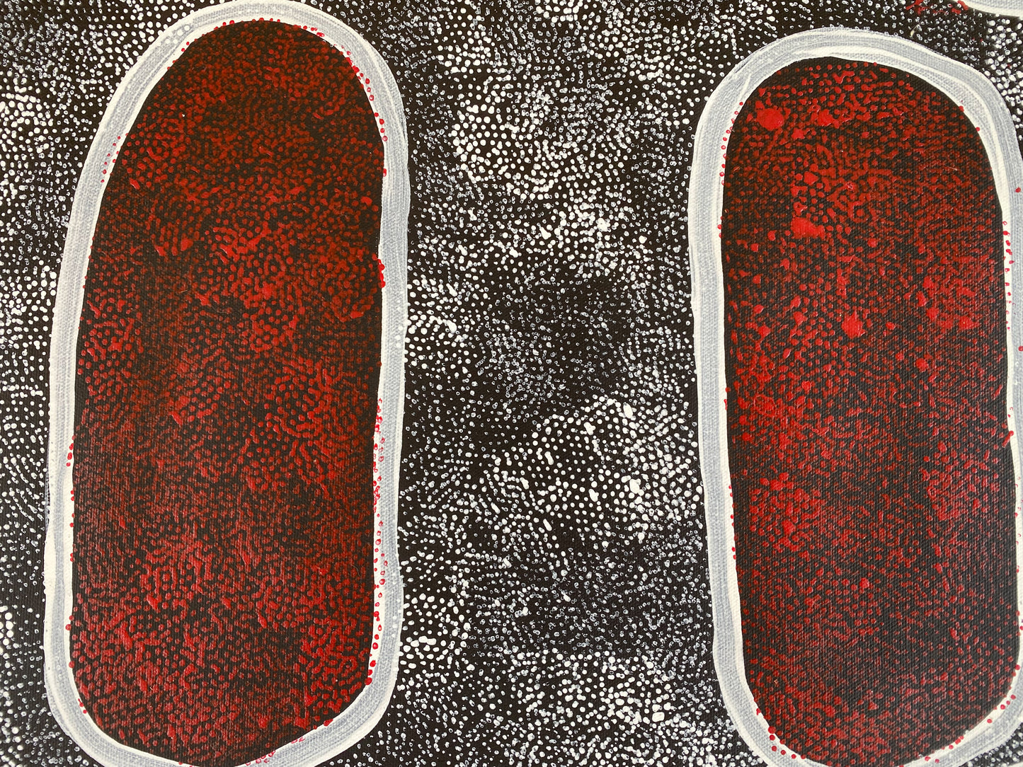NGOIA POLLARD NAPALTJARRI - Swamps at Nyrripi