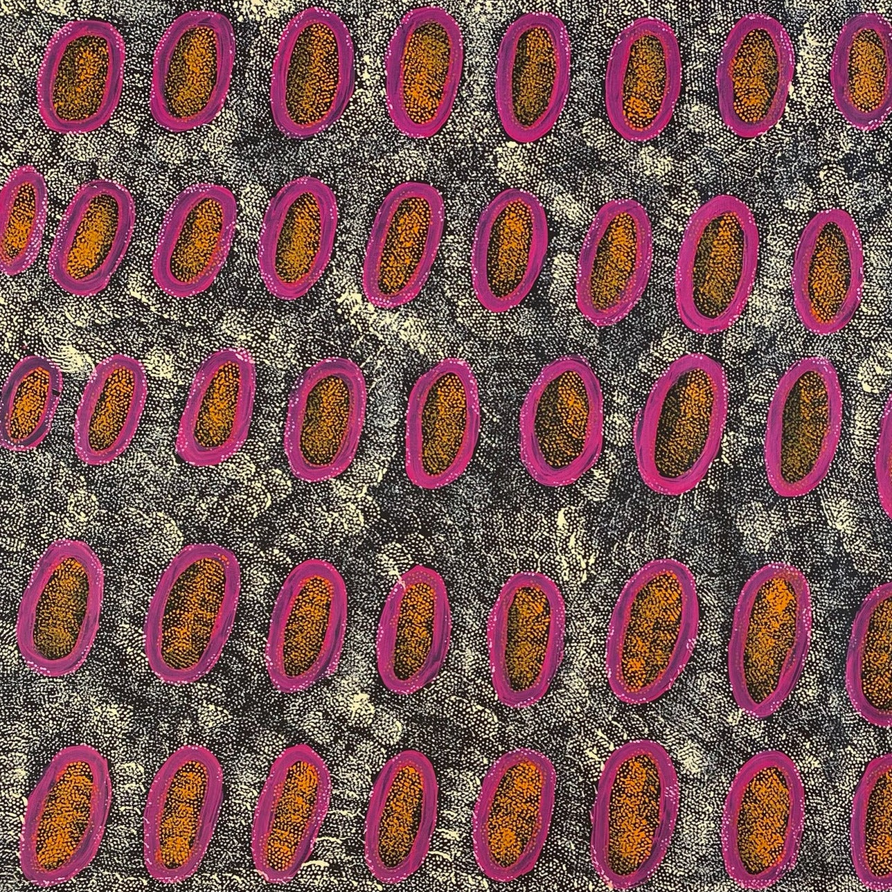 Ngoia Pollard Napaltjarri