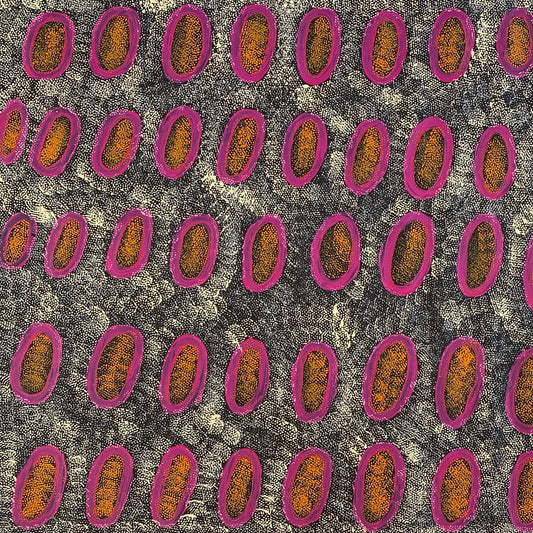 Ngoia Pollard Napaltjarri