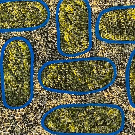 Ngoia Pollard Napaltjarri + indigenous art + aboriginal art + australian art + art for sale + painting for sale + artwork for sale + dot art + dot artwork + dot painting + swamps + aerial depiction + darwin based gallery + gallery + family owned gallery + painting for sale + unique art + innovative artist + water is life + art collection + art collector + interior design ideas + decor +