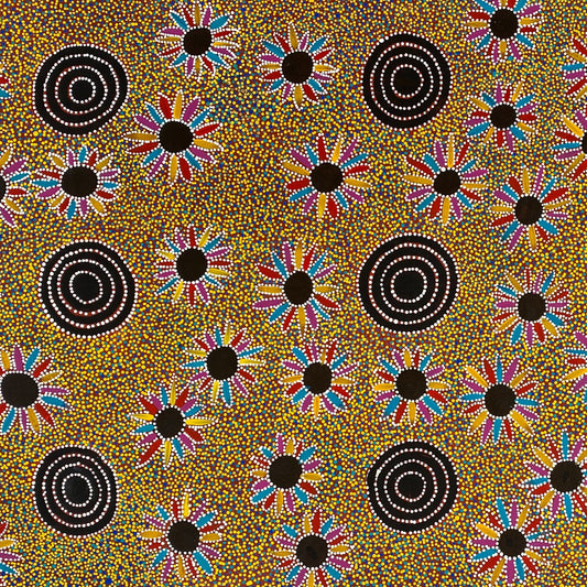PADDY BIRD JUNGALA NGALE - Untitled