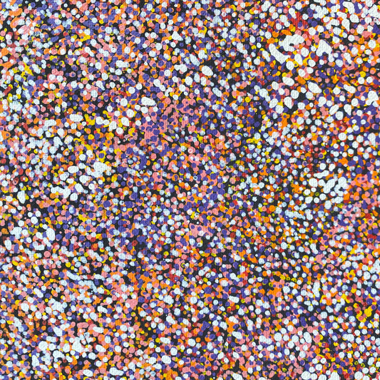 Polly Nelson Nangla, Polly Ngale, Polly Ngal, Utopia artist, Indigenous art, Aboriginal Art, Australian Art, Bush Plum dreaming, dot painting, dot art, art for sale, painting for sale, indigenous art for sale, aboriginal art for sale, altyerre aboriginal art, art décor, interior décor, interior design, colourful, home décor, office décor, art collector, Darwin gallery, art gallery, northern territory, family business, bush tucker, bush food, interior designer, wall art, bush plum dreaming