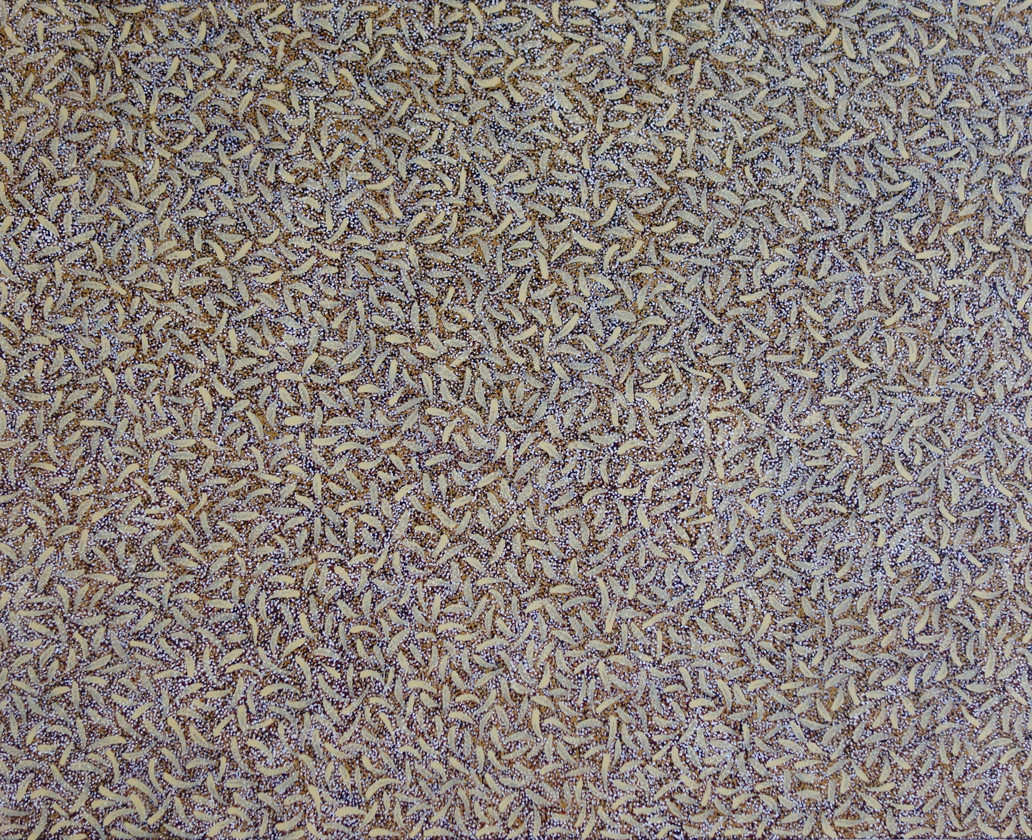 POLLY NELSON NANGALA - Bush Plum Leaves