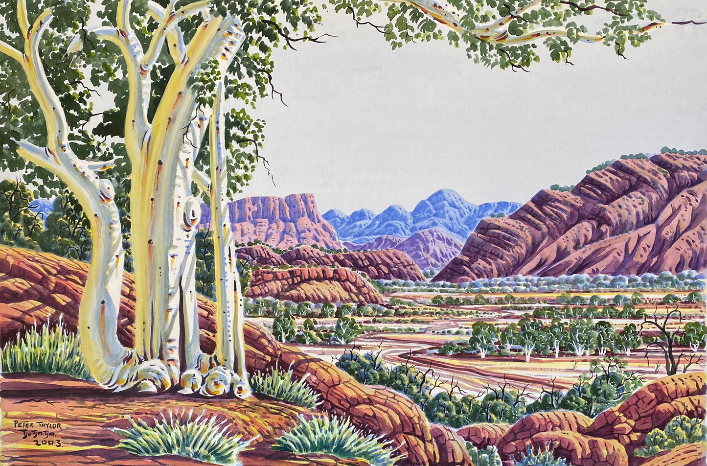 PETER TAYLOR TJUTJATA - Central Australian Landscape