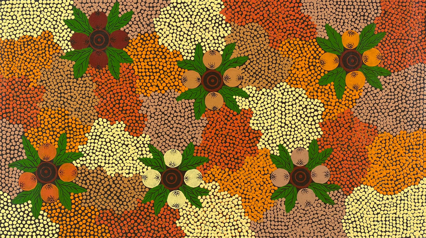 JENNIFER (CATHY) WIRRI - Bush Tucker Dreaming