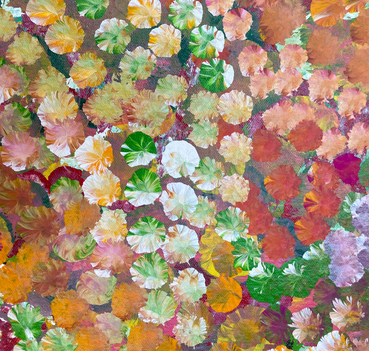 POLLY NELSON NANGALA - Bush Flowers