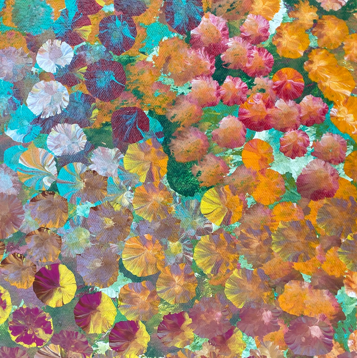 POLLY NELSON NANGALA - Bush Flowers