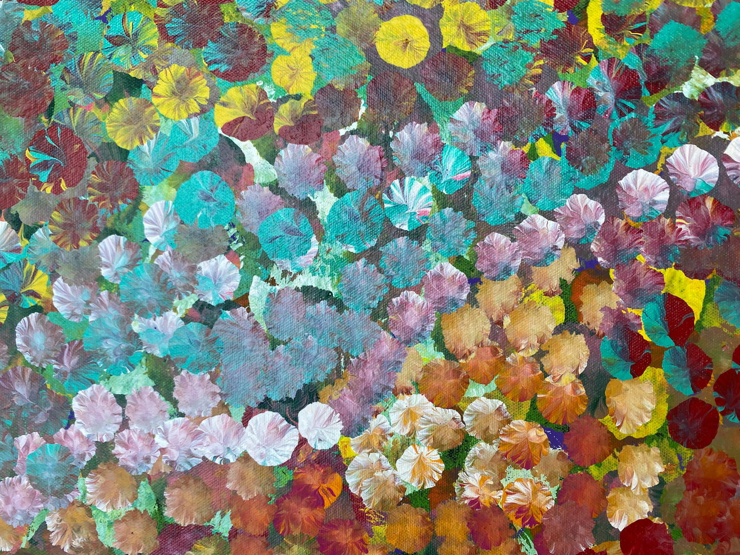 POLLY NELSON NANGALA - Bush Flowers