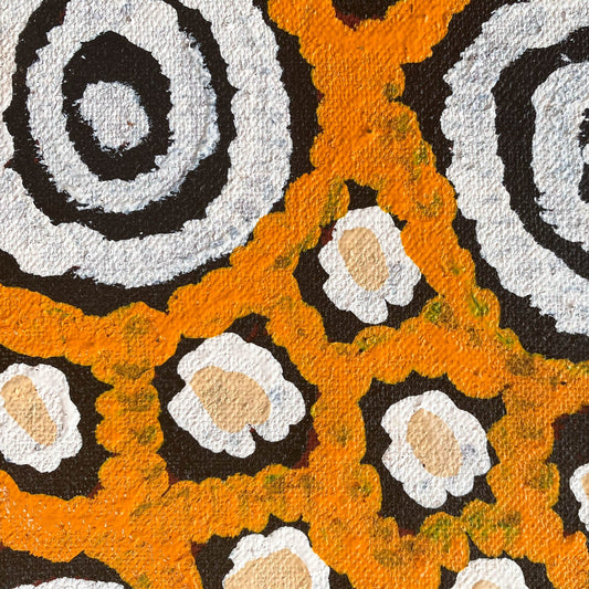 susan gibson napaltjarri, susan gibson, susan napaltjarri gibson, womens ceremony, tingari, symbolism, iconography, kintore, pintupi, western desert art, northern territory, aboriginal art, indigenous art, australian art, traditional art, authentic art, ethical art, original art, art, painting, altyerre aboriginal art, darwin gallery, art gallery, art for sale, painting for sale, family business, wall art, decor, interior design, interior decor