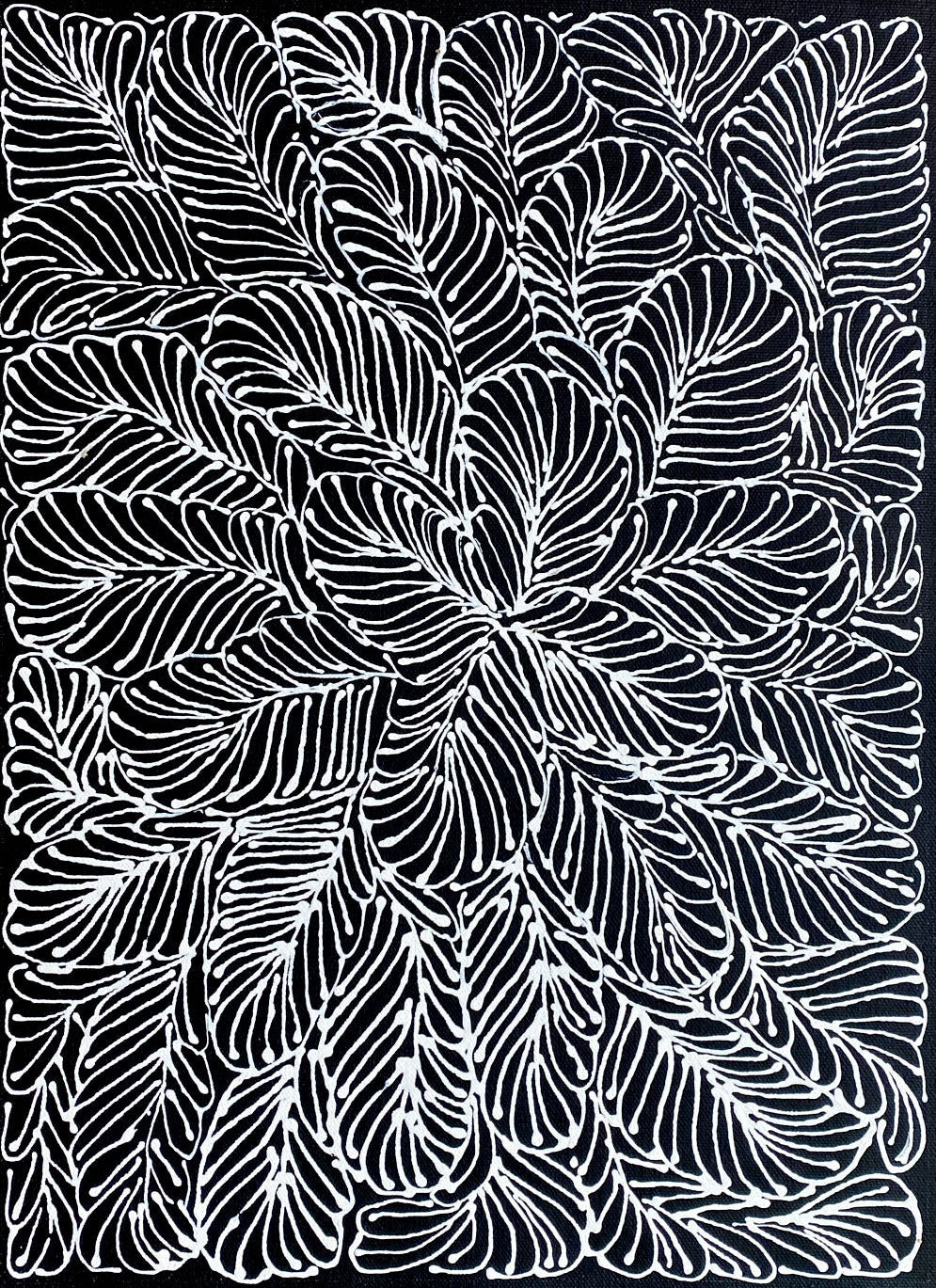 Rosemary Pitjara Petyarre, Utopia, Northern Territory, Outback, Indigenous Art, Aboriginal Art, Australian Art, Bush Yam Leaves, Bush Medicine Leaves, Art, Art Gallery, Art for Sale, Painting, Painting for sale, Altyerre Aboriginal Art, Darwin Gallery, Art Décor, Interior Décor, Wall Art, Interior Decorator, Ethical Art, Original Art, Direct From the Artist, Family Business, Anmatyerre, Movement, Colourful, Beautiful Art, Utopia, Utopian Artist,