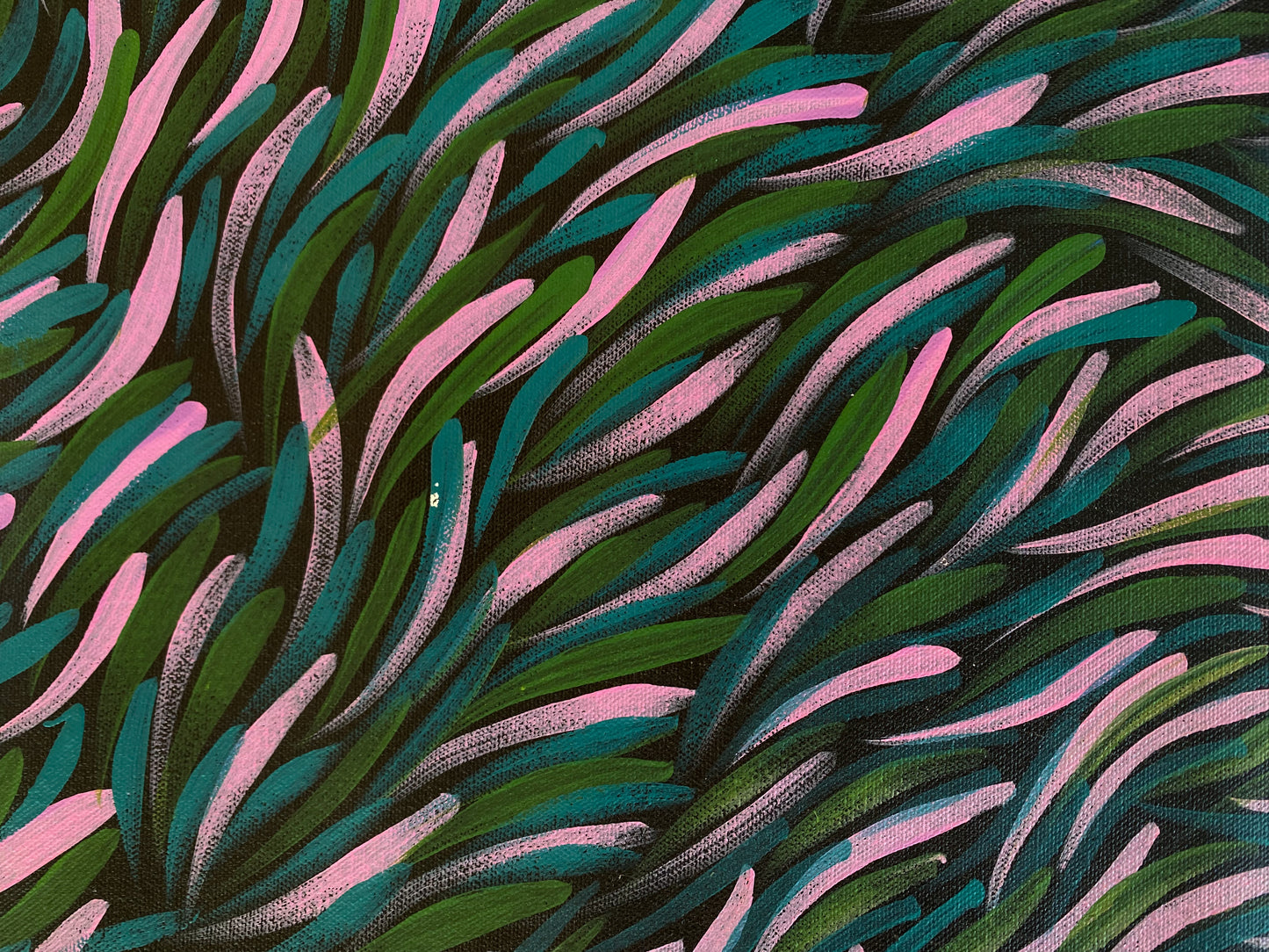 ROSEMARY PITJARA PETYARRE - Bush Medicine Leaves