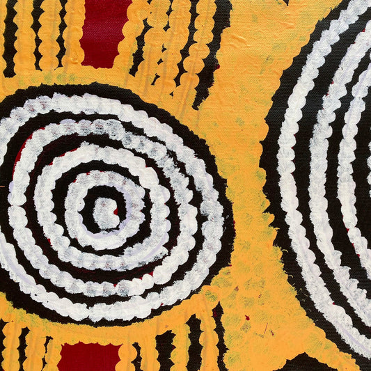 susan gibson napaltjarri, susan gibson, susan napaltjarri gibson, womens ceremony, tingari, symbolism, iconography, kintore, pintupi, western desert art, northern territory, aboriginal art, indigenous art, australian art, traditional art, authentic art, ethical art, original art, art, painting, altyerre aboriginal art, darwin gallery, art gallery, art for sale, painting for sale, family business, wall art, decor, interior design, interior decor