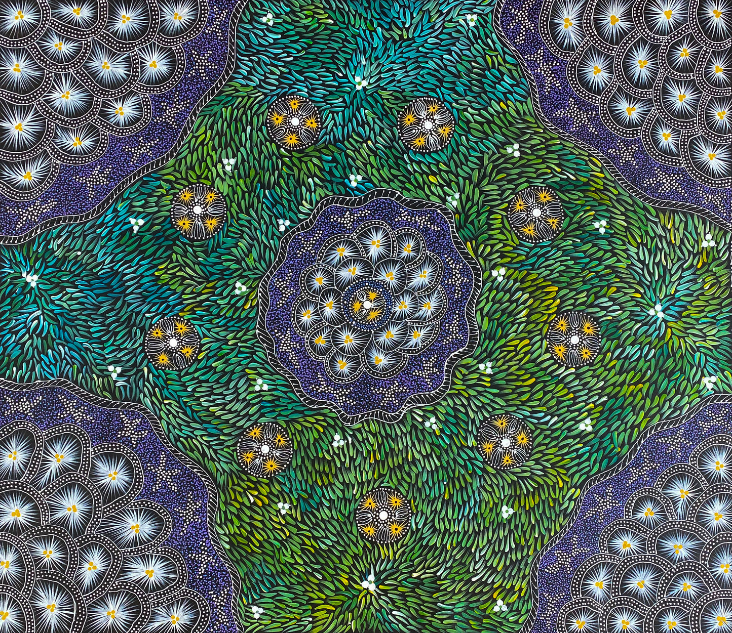 TERESA PULA PRICE - Bush Medicine
