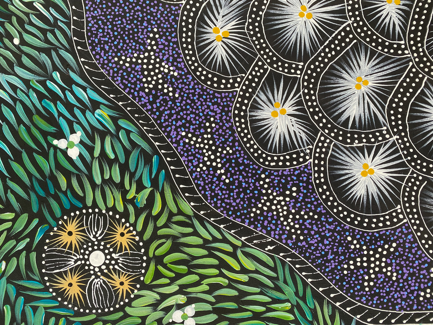 TERESA PULA PRICE - Bush Medicine