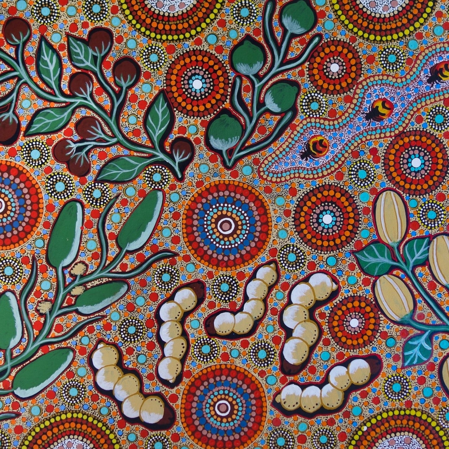 SILVIA HEFFERNAN - Bush Tucker