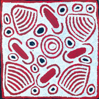 Artwork by BARBARA NAPANGARTI REID