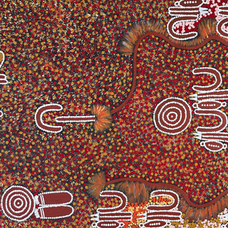 Artwork by LYNETTE GRANITES NAMPIJINPA