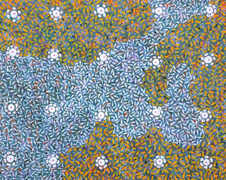 Artwork by MARY RUMBLE PITJARA