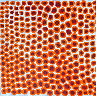 Artwork by NARRABRI NAKAMARRA