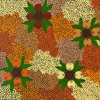 Artwork by JENNIFER (CATHY) WIRRI