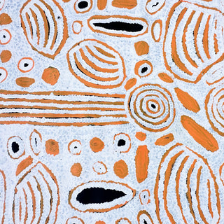 Artwork by ROMA GIBSON NUNGARRAYI