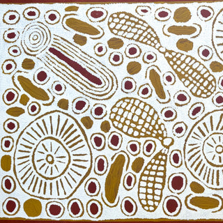 Artwork by SUSAN GIBSON NAPALTJARRI