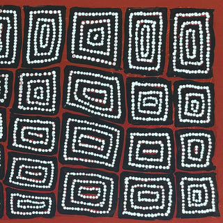 Artwork by THOMAS TJAPALTJARRI (TAMLIK)