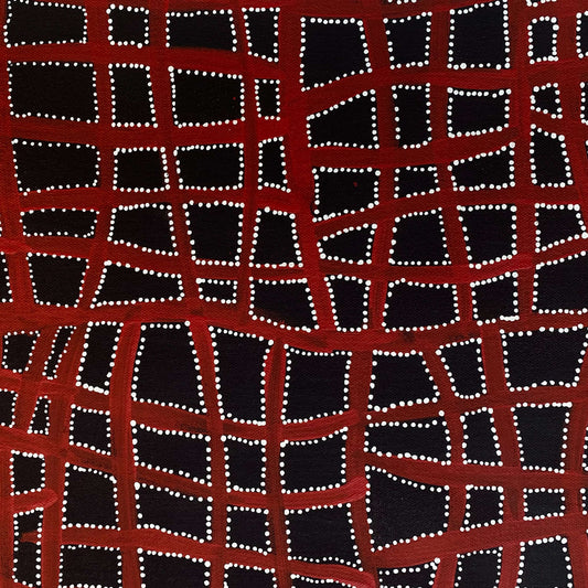 ABIE LOY KEMARRE - Aweyle - Aboriginal Art - Indigenous Artwork - Based in Darwin - Utopia 