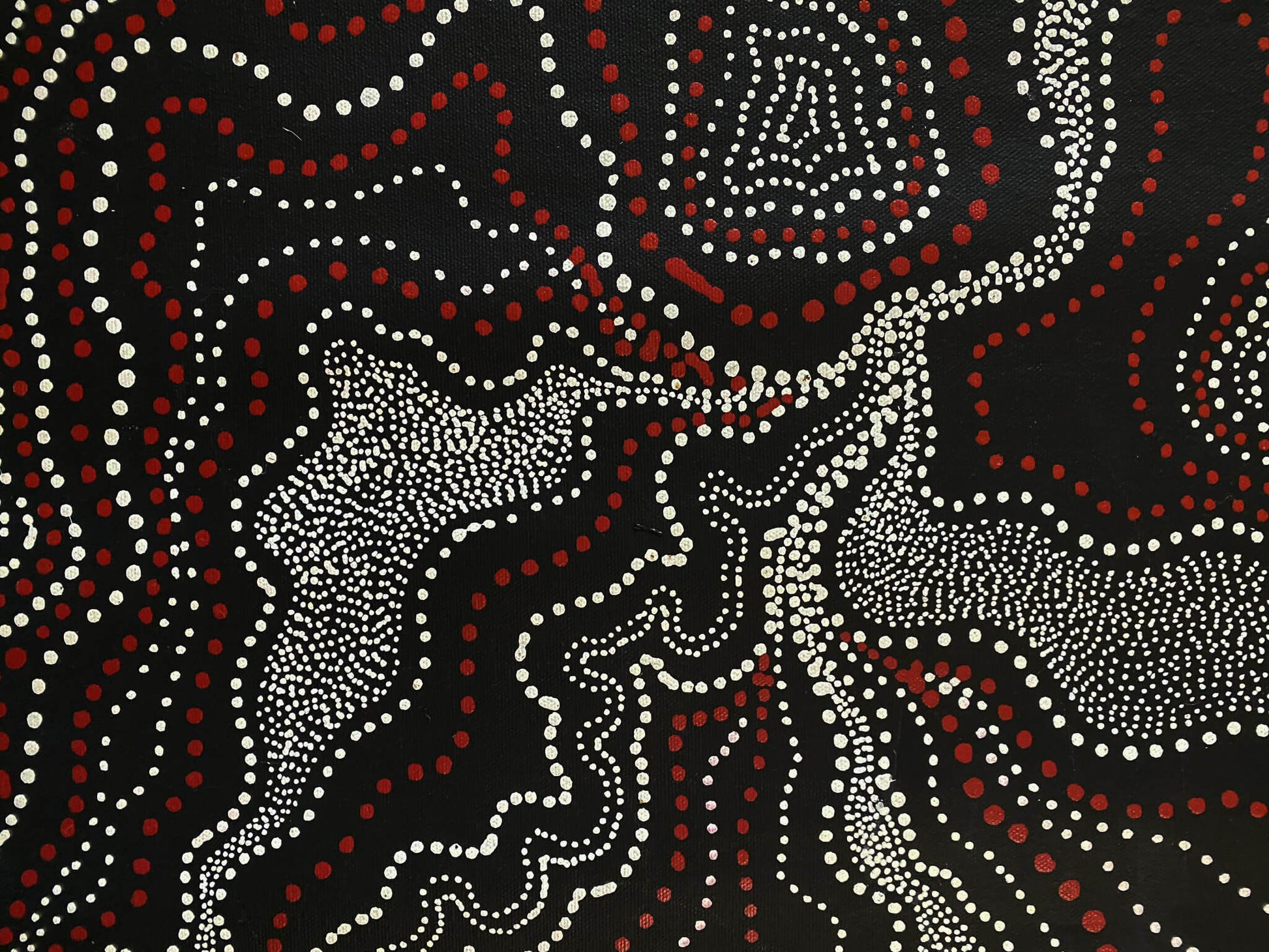 ANNA PITJARA PETYARRE - My Country - Aboriginal Art - Indigenous Artwork - Based in Darwin (Australia)