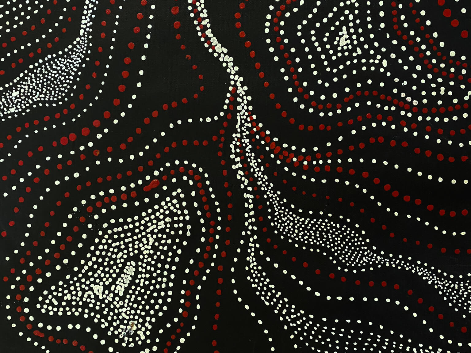 ANNA PITJARA PETYARRE - My Country - Aboriginal Art - Indigenous Artwork - Based in Darwin (Australia)