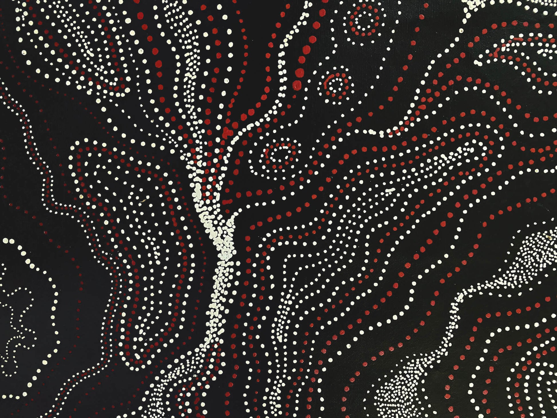 ANNA PITJARA PETYARRE - My Country - Aboriginal Art - Indigenous Artwork - Based in Darwin (Australia)