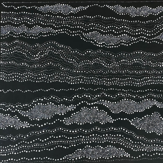Anna Pitjara Petyarre + Utopia + Indigenous Art + Aboriginal Art + Australian Art  + My Country + Dot Art Painting + Dot Artwork + Darwin Based Gallery + Contemporary Art 