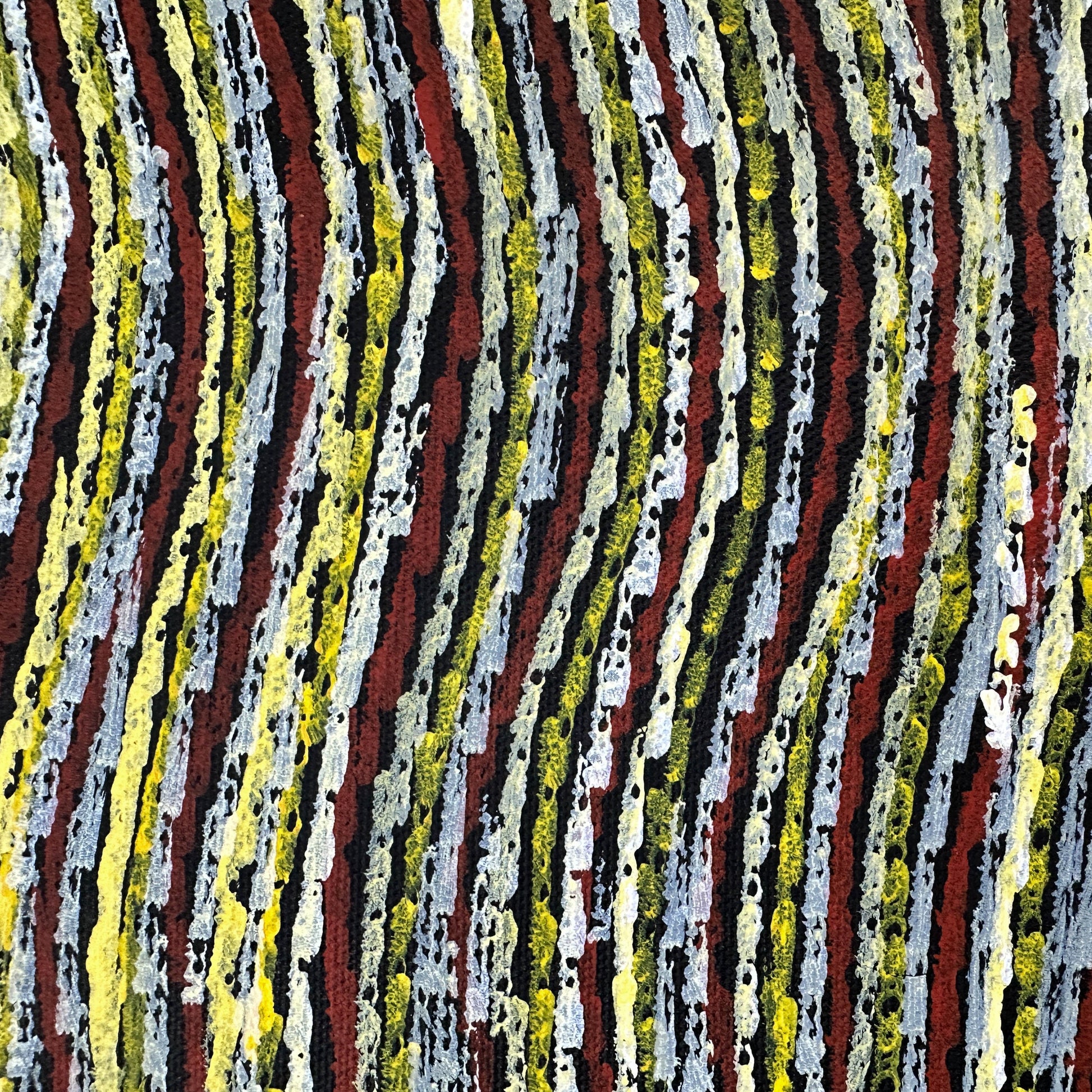 Anna Price, Anna Pitjara, Anna Petyarre, Anmatyerre, Utopia, Aboriginal Art, Indigenous Art, Aboriginal Art, Alice Springs, Northern Territory, Art for Sale, Painting for sale, Indigenous art for sale, Darwin Art Gallery, Dreaming, Dot art, Yam Seed, My Country, Women’s Dreaming, Altyerre Aboriginal Art, Famous Indigenous Artist
