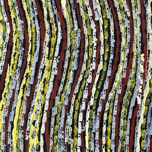 Anna Price, Anna Pitjara, Anna Petyarre, Anmatyerre, Utopia, Aboriginal Art, Indigenous Art, Aboriginal Art, Alice Springs, Northern Territory, Art for Sale, Painting for sale, Indigenous art for sale, Darwin Art Gallery, Dreaming, Dot art, Yam Seed, My Country, Women’s Dreaming, Altyerre Aboriginal Art, Famous Indigenous Artist