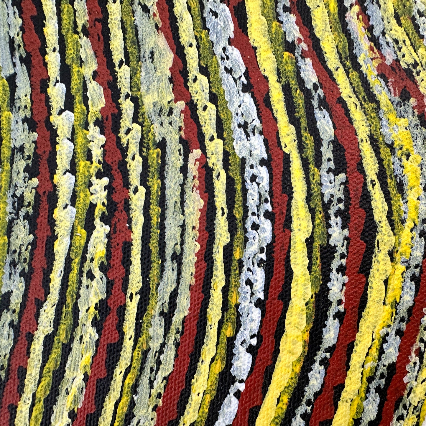 Anna Price, Anna Pitjara, Anna Petyarre, Anmatyerre, Utopia, Aboriginal Art, Indigenous Art, Aboriginal Art, Alice Springs, Northern Territory, Art for Sale, Painting for sale, Indigenous art for sale, Darwin Art Gallery, Dreaming, Dot art, Yam Seed, My Country, Women’s Dreaming, Altyerre Aboriginal Art, Famous Indigenous Artist