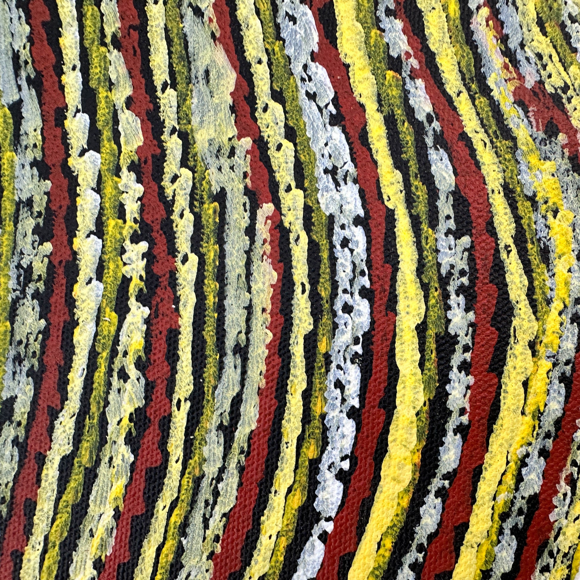 Anna Price, Anna Pitjara, Anna Petyarre, Anmatyerre, Utopia, Aboriginal Art, Indigenous Art, Aboriginal Art, Alice Springs, Northern Territory, Art for Sale, Painting for sale, Indigenous art for sale, Darwin Art Gallery, Dreaming, Dot art, Yam Seed, My Country, Women’s Dreaming, Altyerre Aboriginal Art, Famous Indigenous Artist