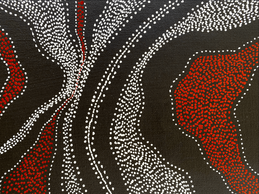 ANNA PITJARA PETYARRE - My Country - Aboriginal Art - Indigenous Artwork - Based in Darwin (Australia)