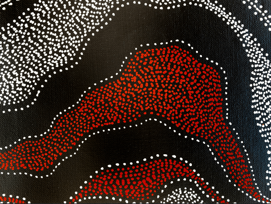 ANNA PITJARA PETYARRE - My Country - Aboriginal Art - Indigenous Artwork - Based in Darwin (Australia)