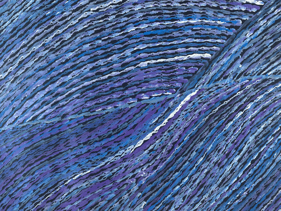 ANNA PITJARA PETYARRE - Yam Dreaming - Aboriginal Art - Indigenous Artwork - Based in Darwin (Australia)