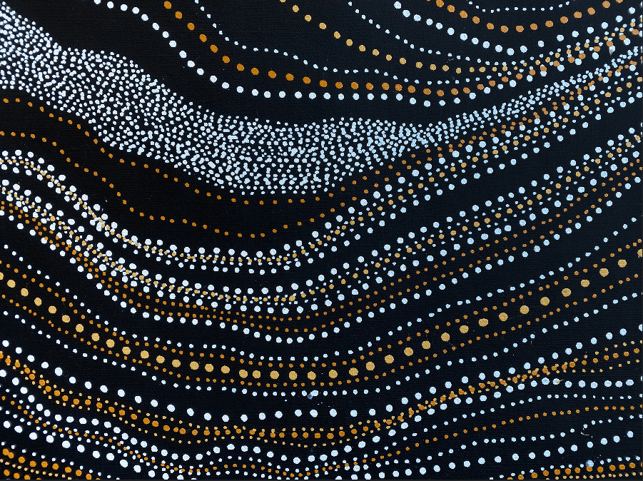 ANNA PITJARA PETYARRE - My Country - Aboriginal Art - Indigenous Artwork - Based in Darwin (Australia)