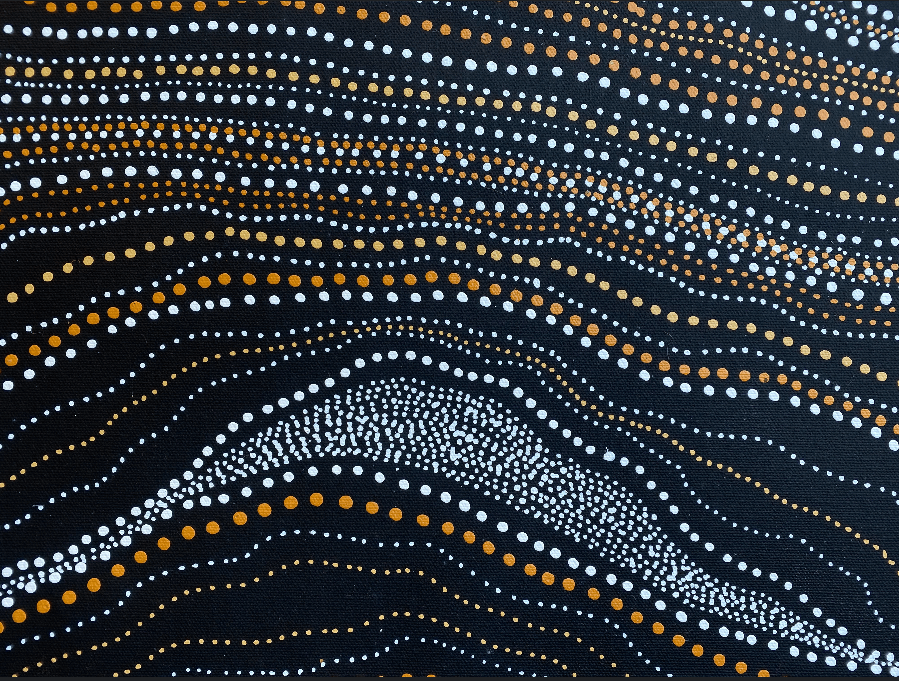 ANNA PITJARA PETYARRE - My Country - Aboriginal Art - Indigenous Artwork - Based in Darwin (Australia)