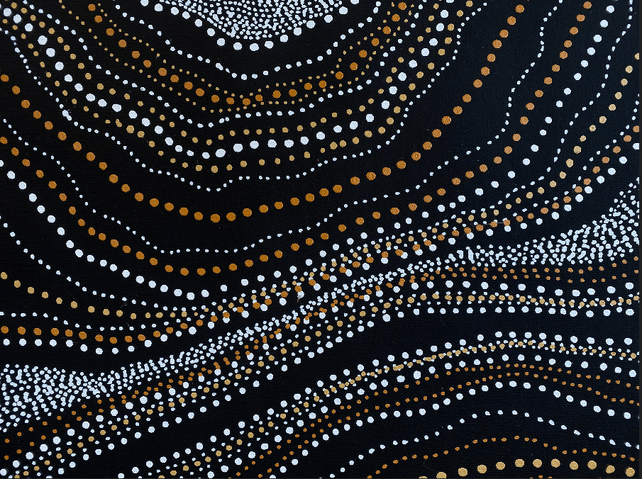 ANNA PITJARA PETYARRE - My Country - Aboriginal Art - Indigenous Artwork - Based in Darwin (Australia)