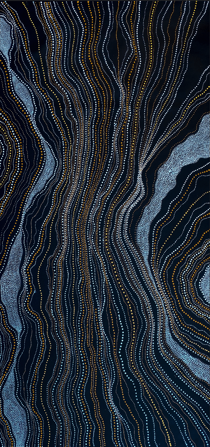 ANNA PITJARA PETYARRE - My Country - Aboriginal Art - Indigenous Artwork - Based in Darwin (Australia)